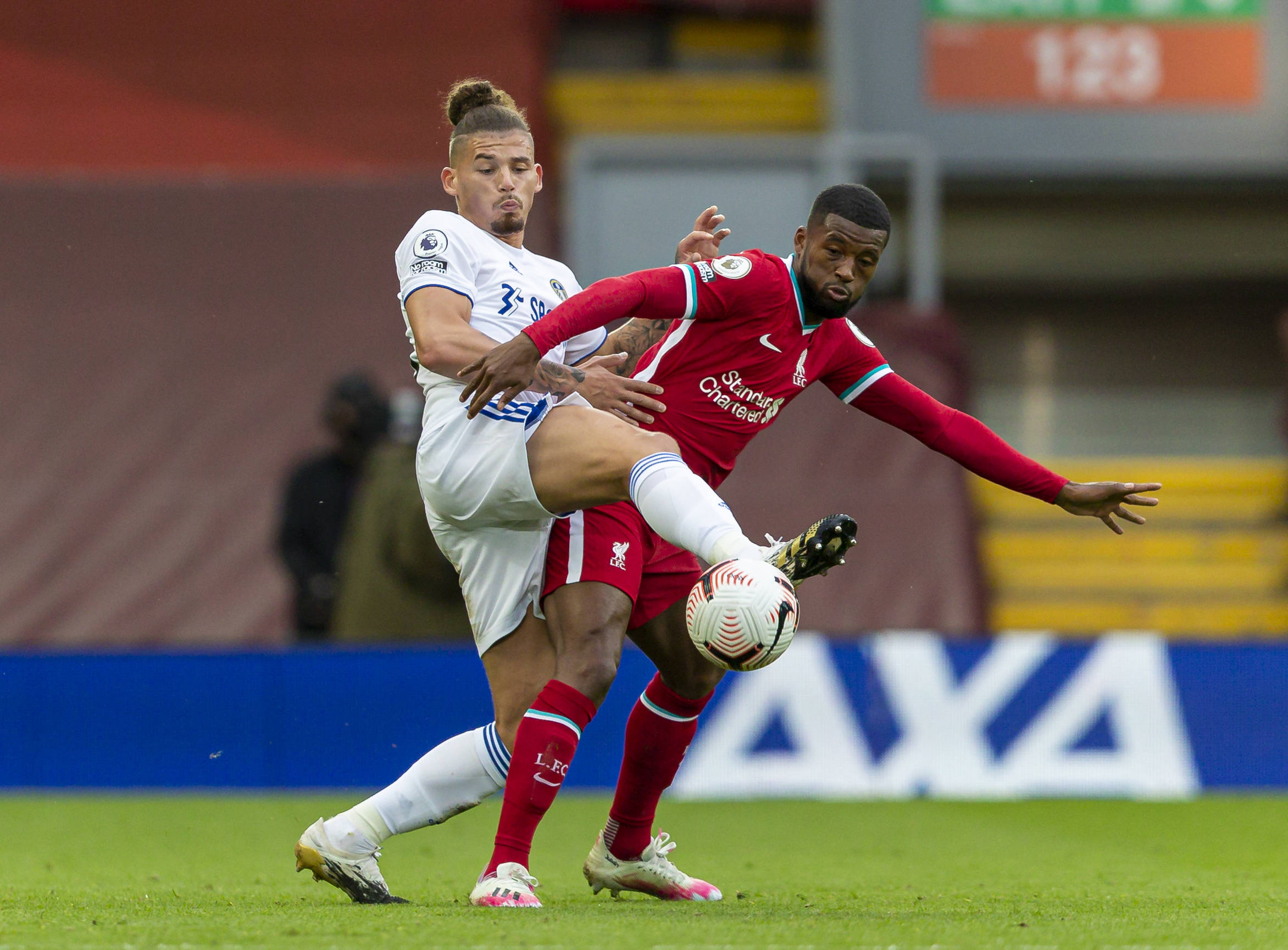 这一成功的 这一成功的